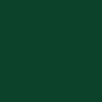 Real Cricket™ Premier League
