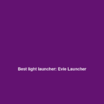 Best light launcher: Evie Launcher